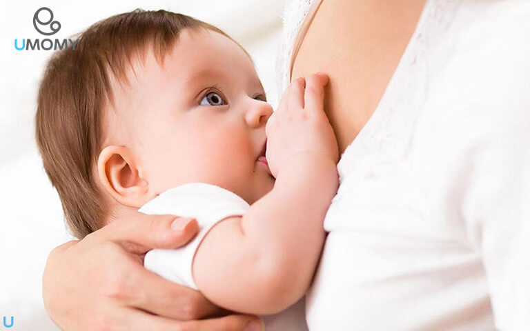 با مواد غذایی افزایش دهنده شیر مادر آشنا شوید