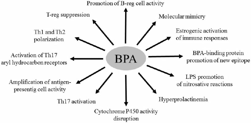 تاثیر مواد بدون BPA بر سلامت کودکان